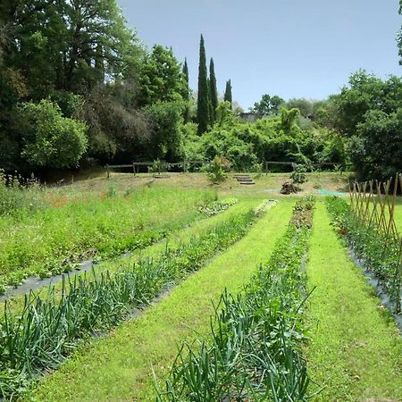 Madonnella Agricola Villa Cesano Exterior foto