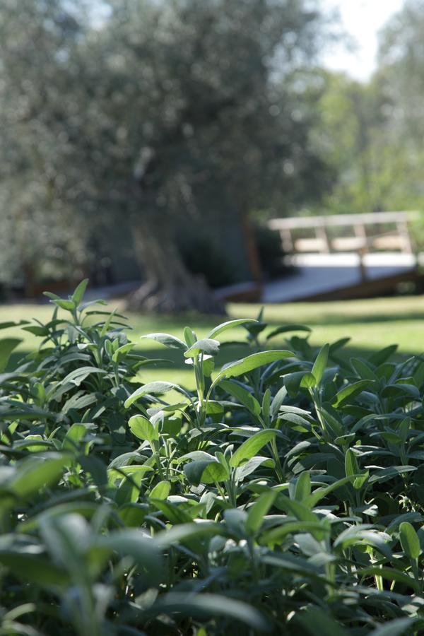 Madonnella Agricola Villa Cesano Exterior foto