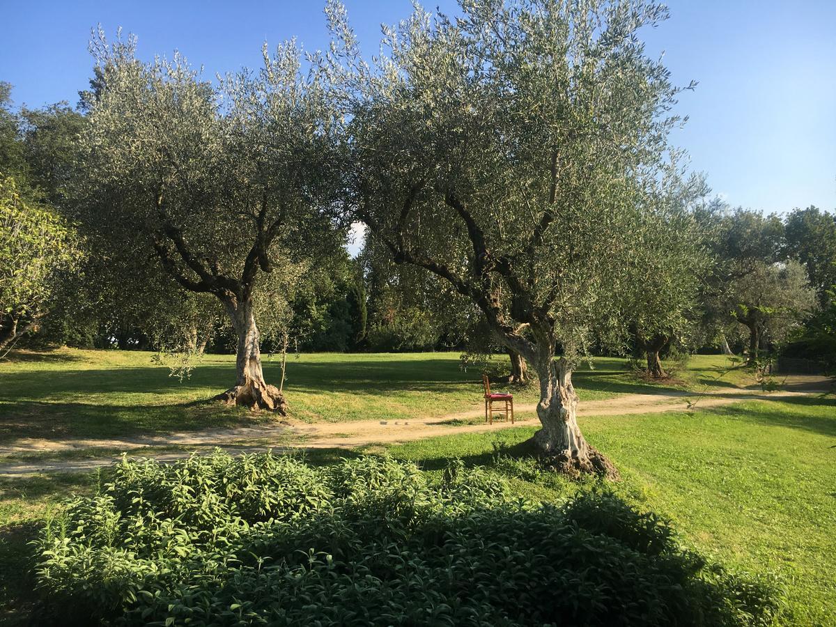 Madonnella Agricola Villa Cesano Exterior foto