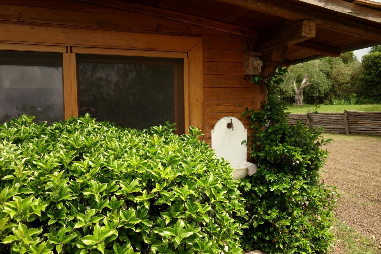 Madonnella Agricola Villa Cesano Exterior foto