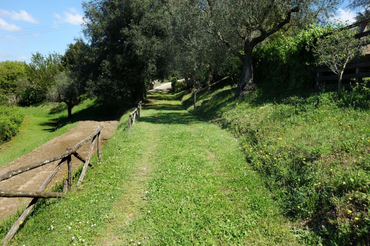 Madonnella Agricola Villa Cesano Exterior foto