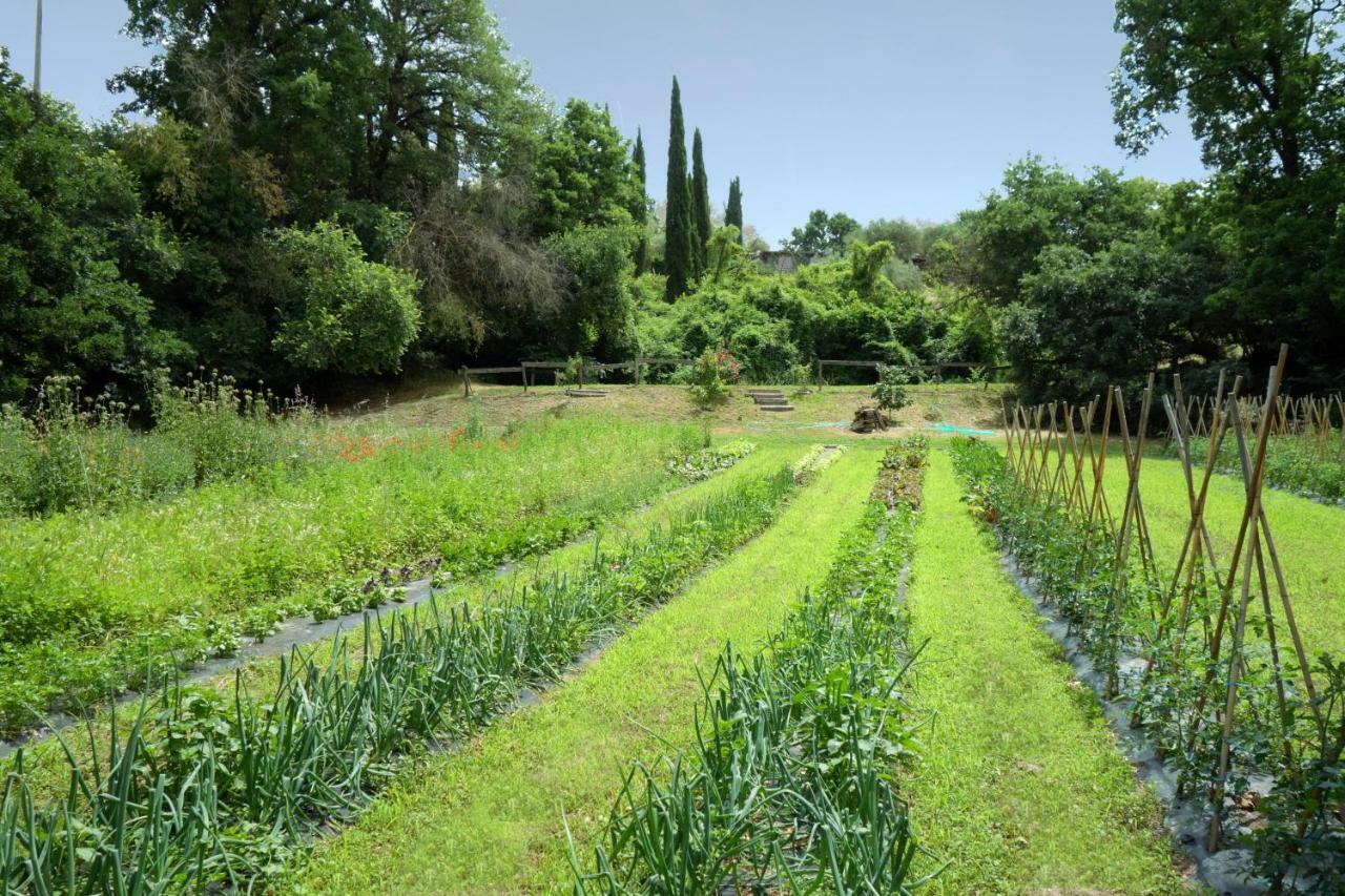 Madonnella Agricola Villa Cesano Exterior foto